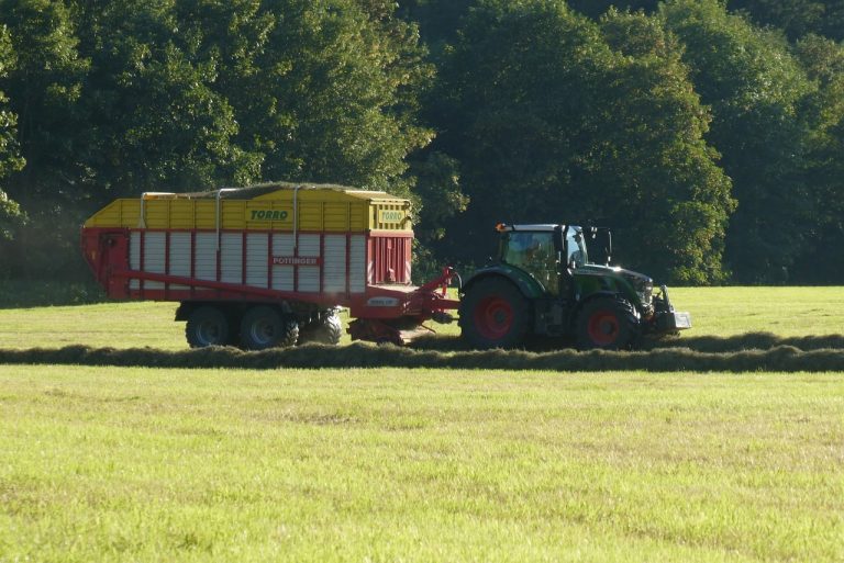 Qu'estce que l'agrobusiness