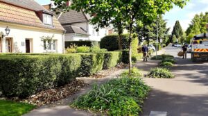 enlèvement des déchets verts