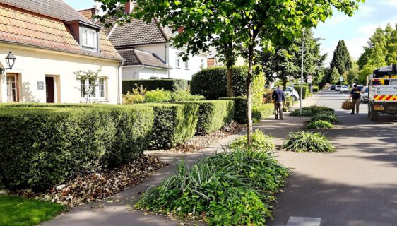 enlèvement des déchets verts